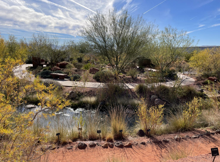 Red Hills Desert Garden, United States